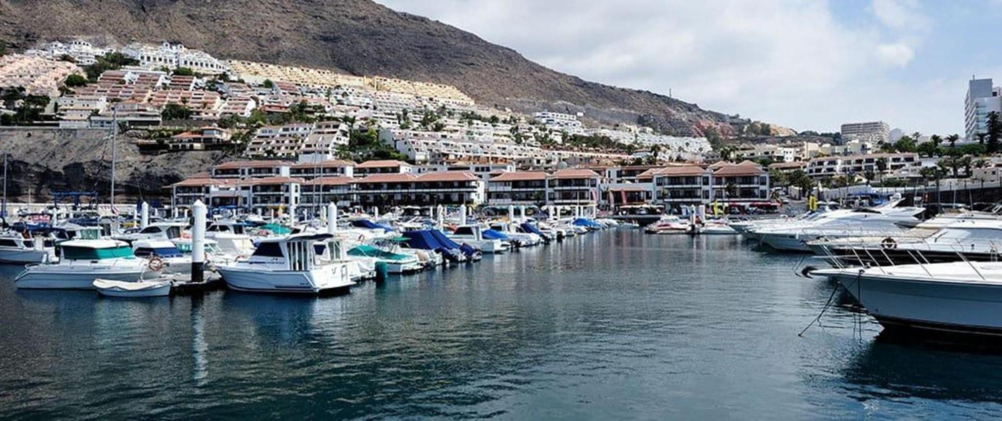 Ocean View Paradise In Los Gigantes Daire Acantilado de los Gigantes Dış mekan fotoğraf