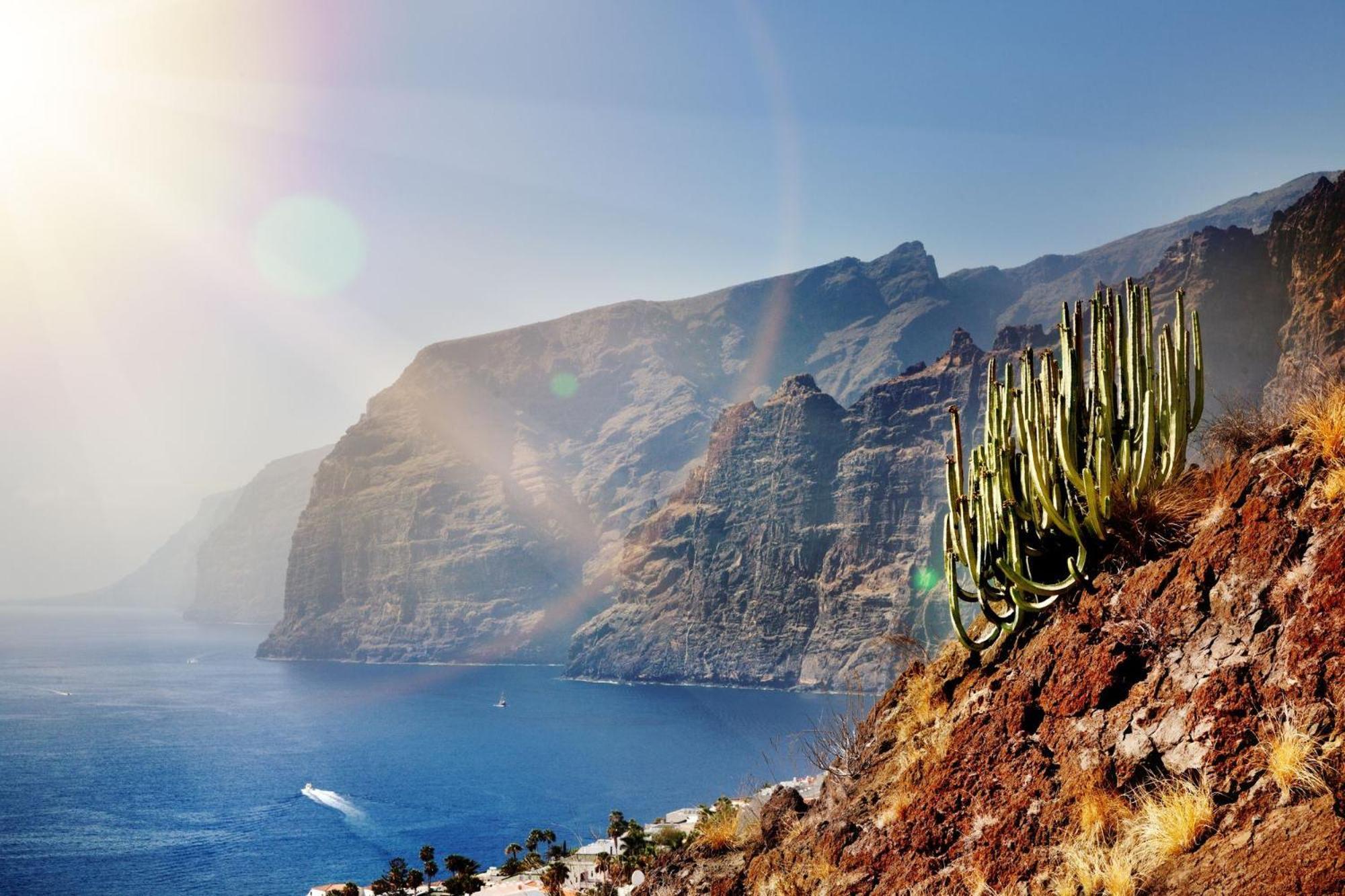 Ocean View Paradise In Los Gigantes Daire Acantilado de los Gigantes Dış mekan fotoğraf